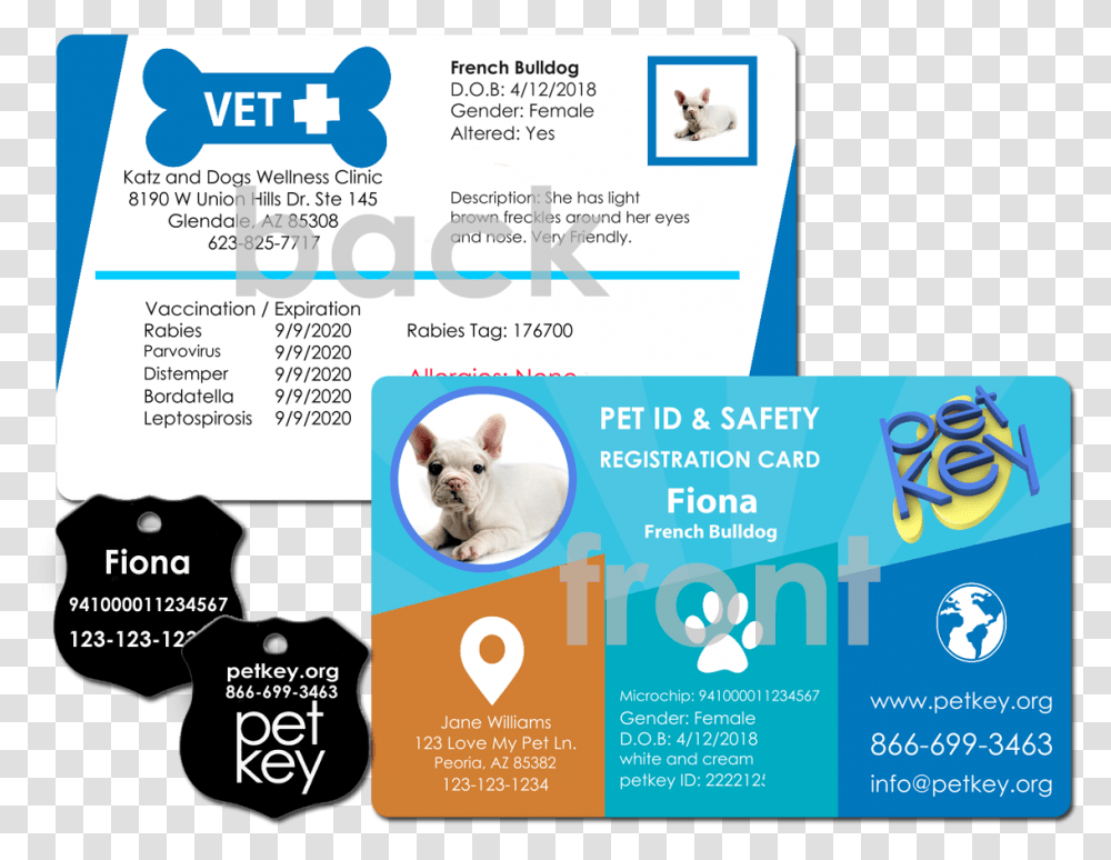 Order Pet Id Card Nationwide Pet Insurance Card, Poster, Advertisement, Flyer, Paper Transparent Png