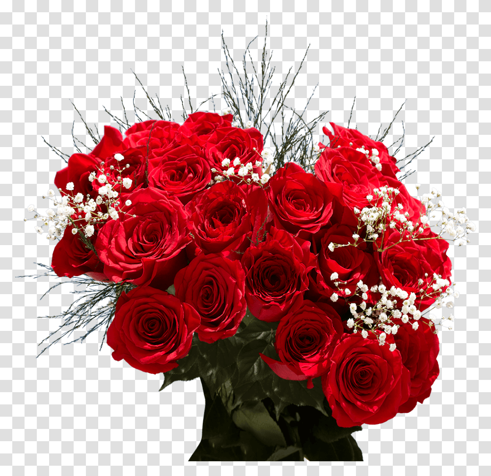 Order Two Dozen Red Roses Free Valentine's Day Delivery Garden Roses, Plant, Flower, Blossom, Flower Bouquet Transparent Png
