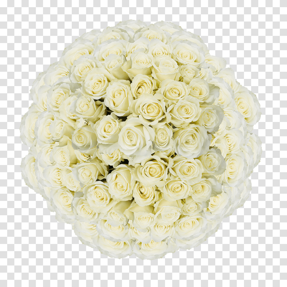 Order White Roses Online Cheap Garden Roses, Floral Design, Pattern Transparent Png