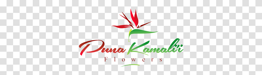 Ordering And Shipping Details Puna Kamalii Flowers Inc, Floral Design Transparent Png