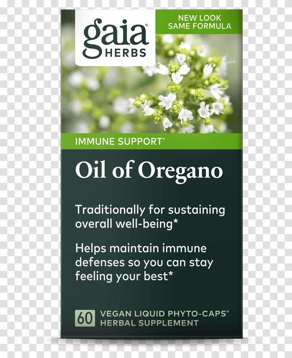 Oregano Oil, Advertisement, Poster, Flyer, Paper Transparent Png