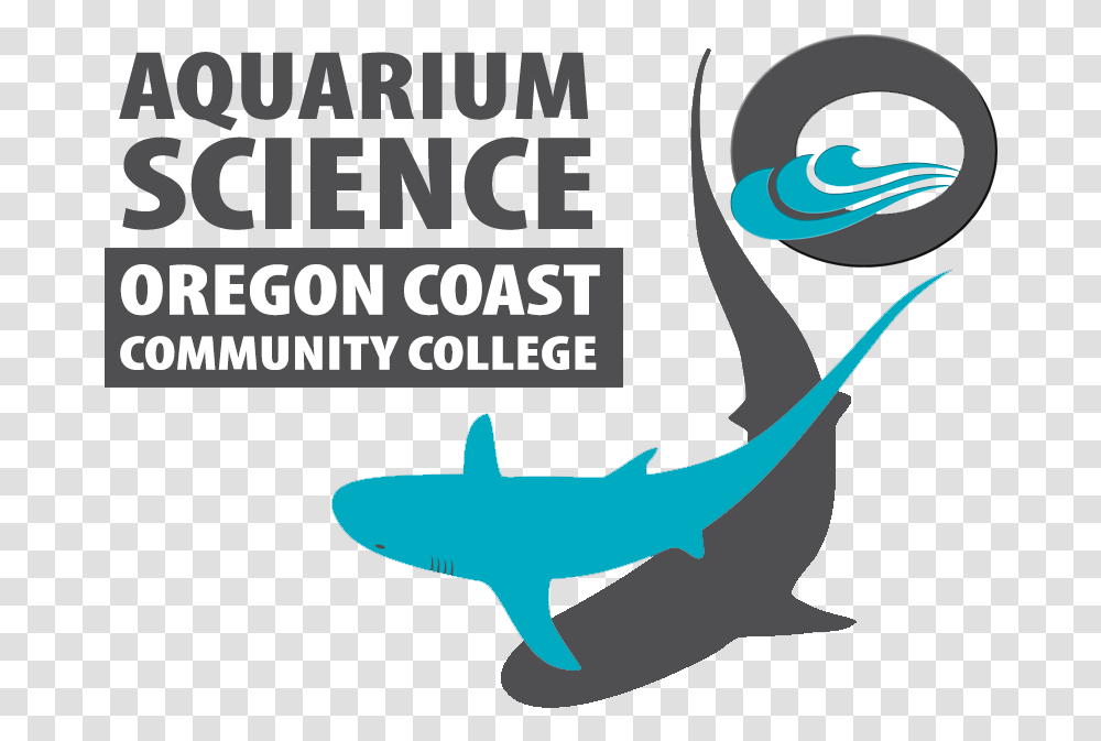 Oregon Coast Community College Marine Biology, Shark, Sea Life, Fish, Animal Transparent Png