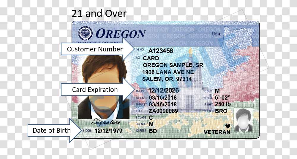 Oregon Department Of Transportation A New Design For Oregon License Number, Text, Driving License, Document, Id Cards Transparent Png
