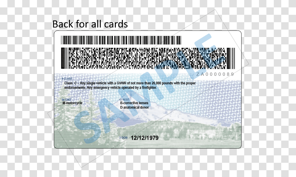 Oregon Drivers License Back, Driving License, Document, Id Cards Transparent Png