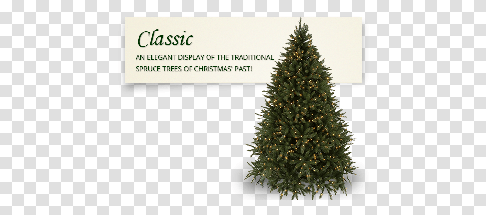 Oregon Fir Prelit Tree Douglas Fir Xmas Tree, Christmas Tree, Ornament, Plant, Pine Transparent Png