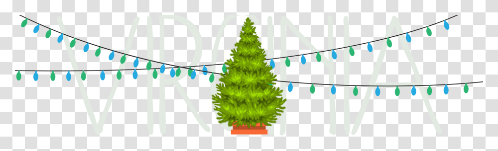 Oregon Pine, Tree, Plant, Ornament, Christmas Tree Transparent Png