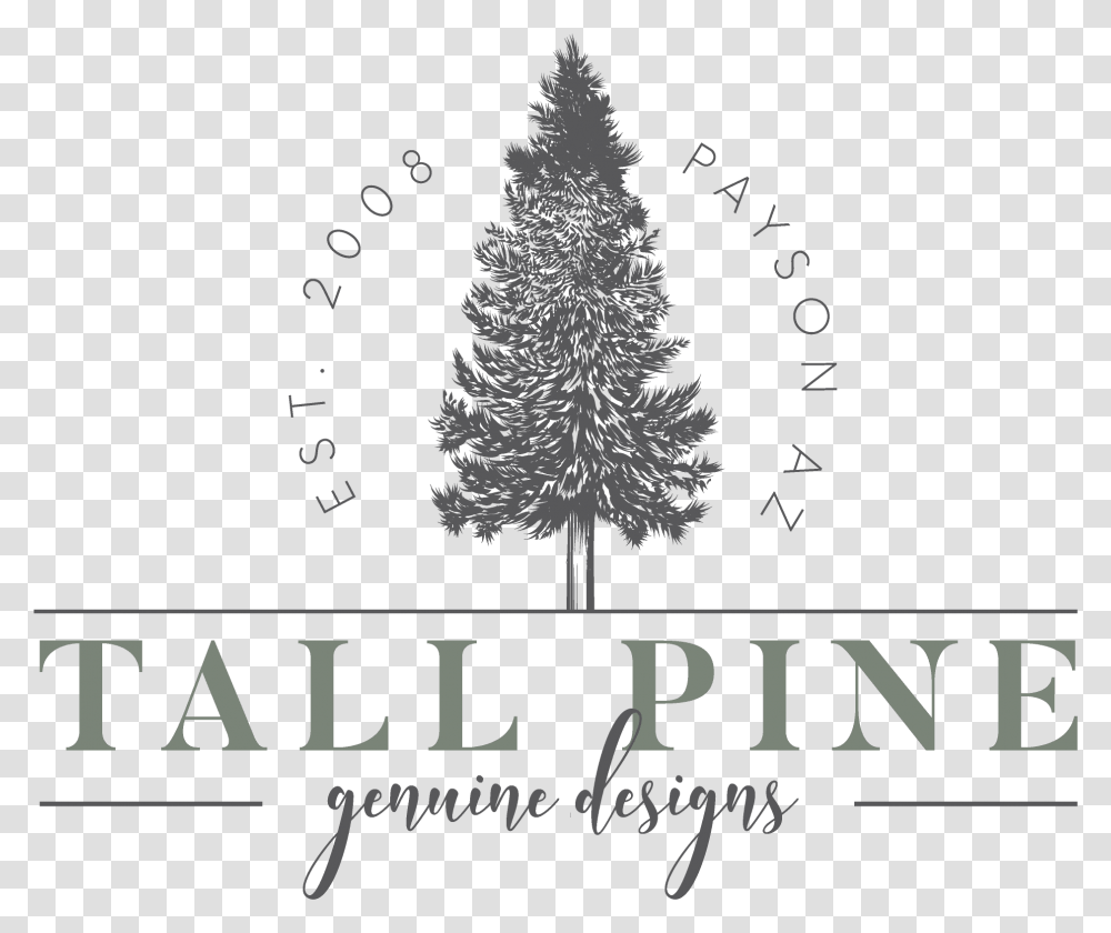 Oregon Pine, Tree, Plant, Ornament, Christmas Tree Transparent Png
