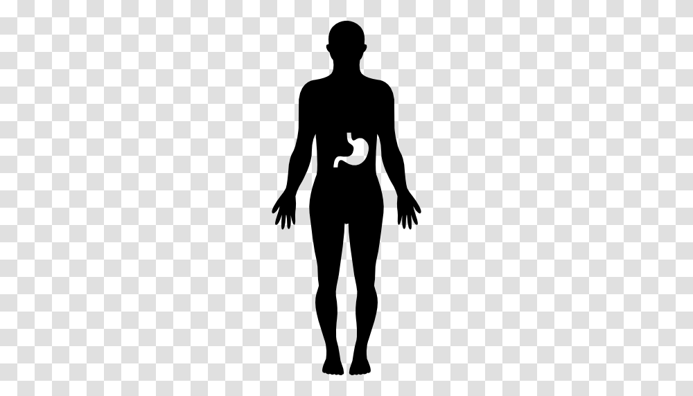 Organ Icon, Silhouette, Person, Human, Stencil Transparent Png