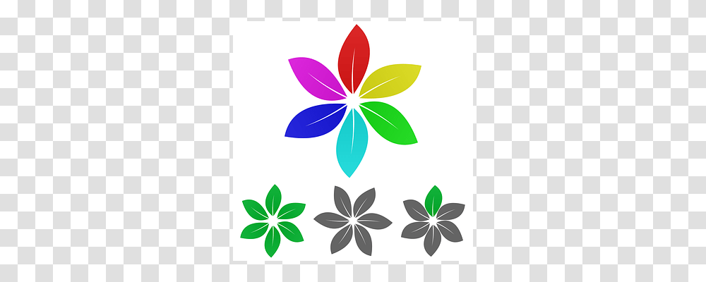 Organic Graphics, Floral Design, Pattern Transparent Png