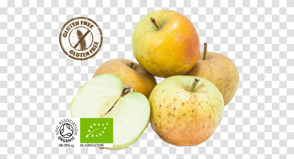 Organic Apples Pick's Farm Apple, Plant, Fruit, Food, Clock Tower Transparent Png