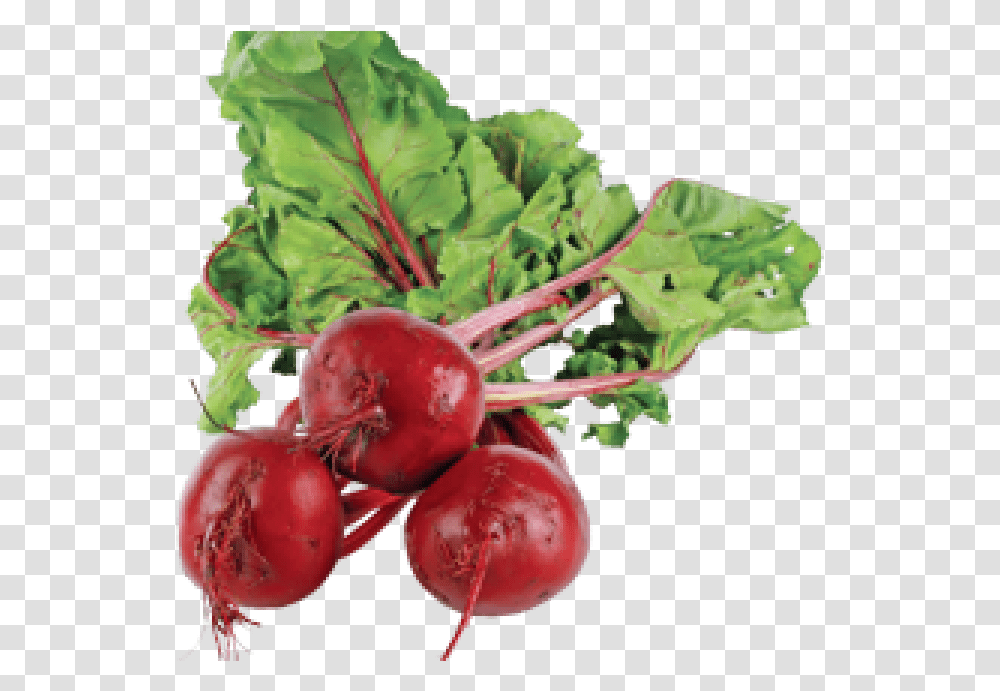 Organic Beets, Plant, Radish, Vegetable, Food Transparent Png