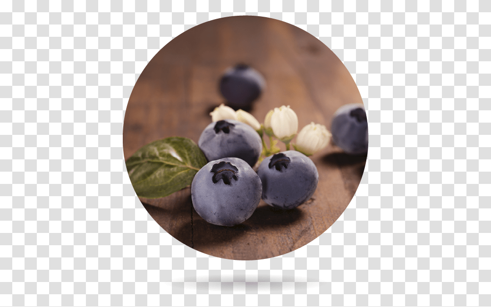 Organic Blueberry Bionest Agricultura Ecolgica Bilberry, Fruit, Plant, Food Transparent Png