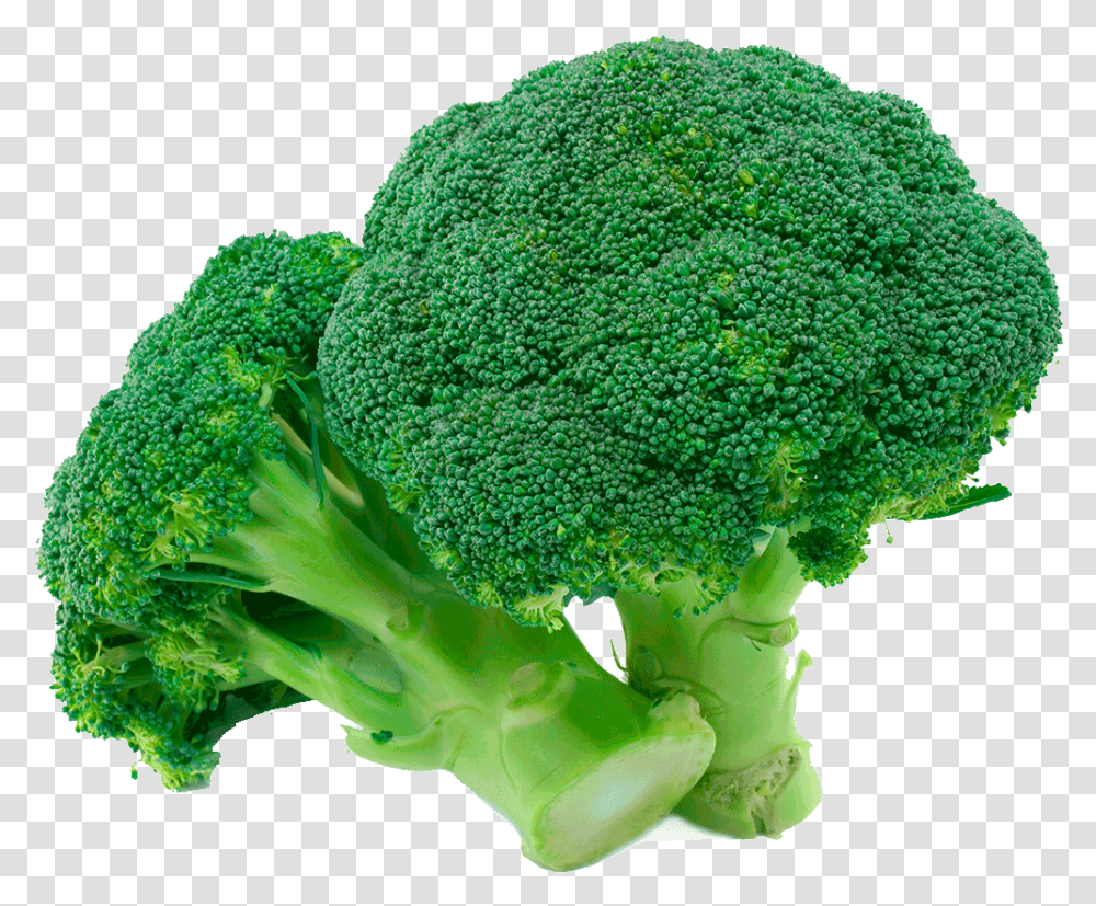 Organic Broccoli Green Broccoli, Vegetable, Plant, Food Transparent Png