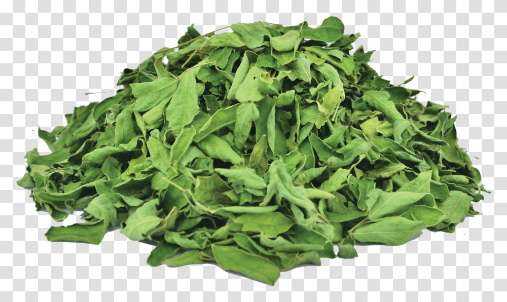 Organic Cassia Leaves Spinach, Plant, Vegetable, Food, Produce Transparent Png