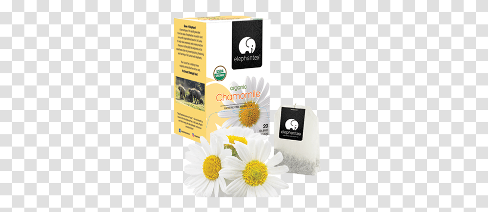 Organic Chamomile Chamomile, Flyer, Poster, Paper, Advertisement Transparent Png