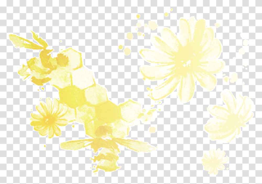 Organic Chamomile Flowers Chrysanths, Plant, Graphics, Art, Blossom Transparent Png