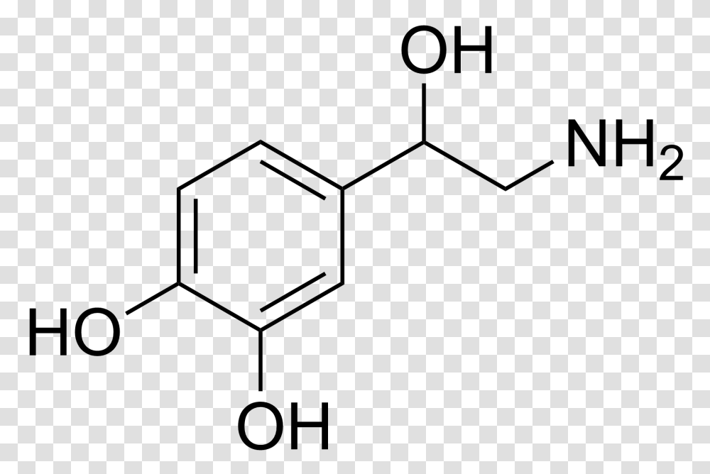 Organic Chemistry, Number, Plot Transparent Png