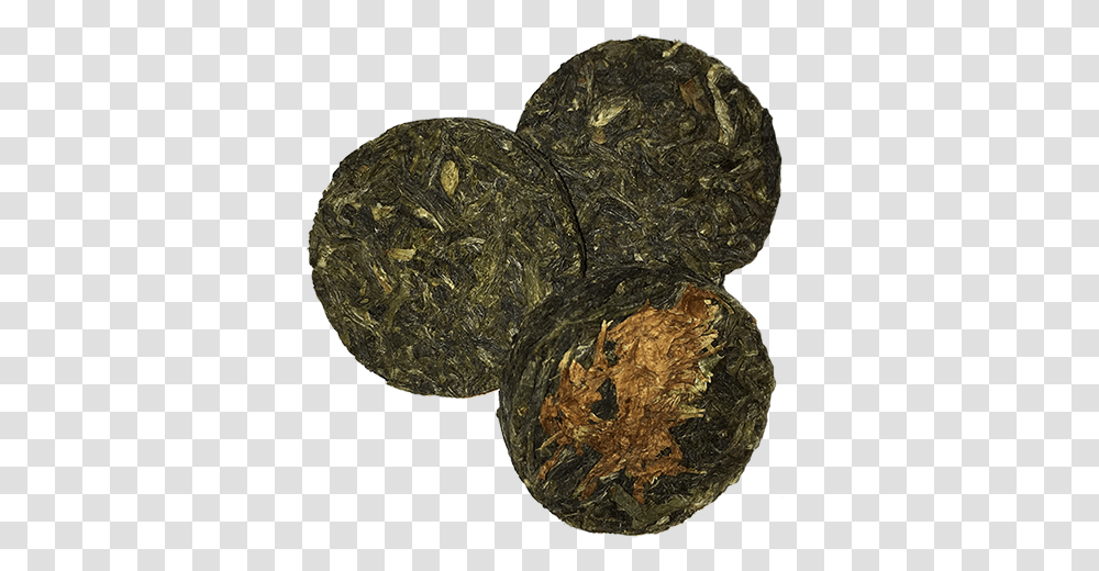 Organic Chrysanthemum Coin, Rock, Money, Fungus, Bronze Transparent Png