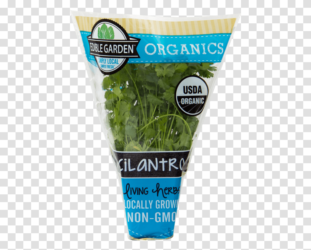 Organic Cilantro Edible Garden Organic Herbs, Plant, Vegetable, Food, Vase Transparent Png