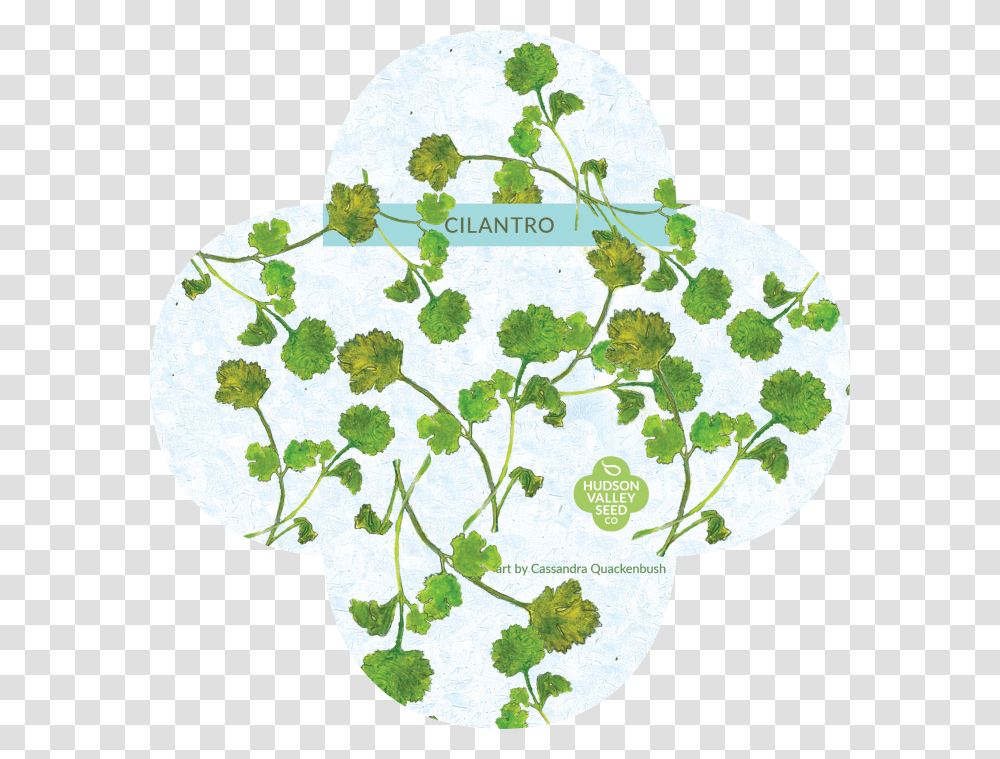 Organic Cilantro Seeds Upstate Stock Floral Design, Plant, Flower, Leaf, Jar Transparent Png