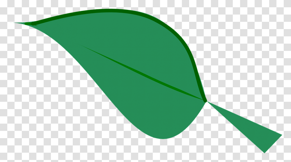 Organic Clipart Green Plant, Leaf, Nature, Outdoors, Ball Transparent Png