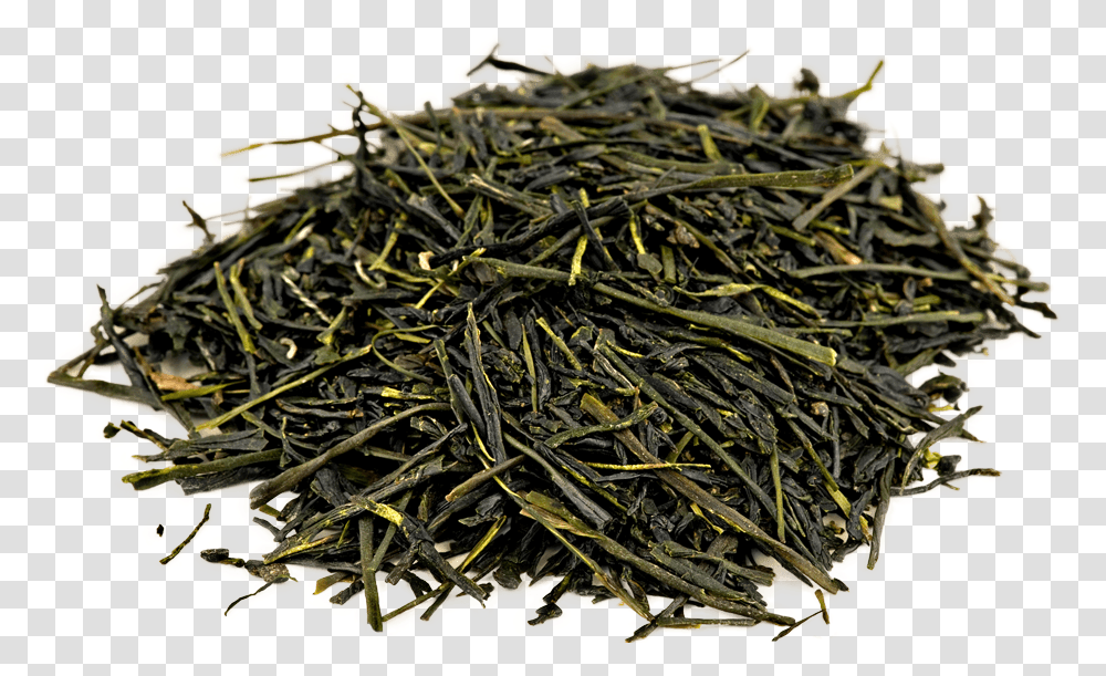 Organic Gyokuro Green Tea Gyokuro, Beverage, Plant, Pottery, Jar Transparent Png