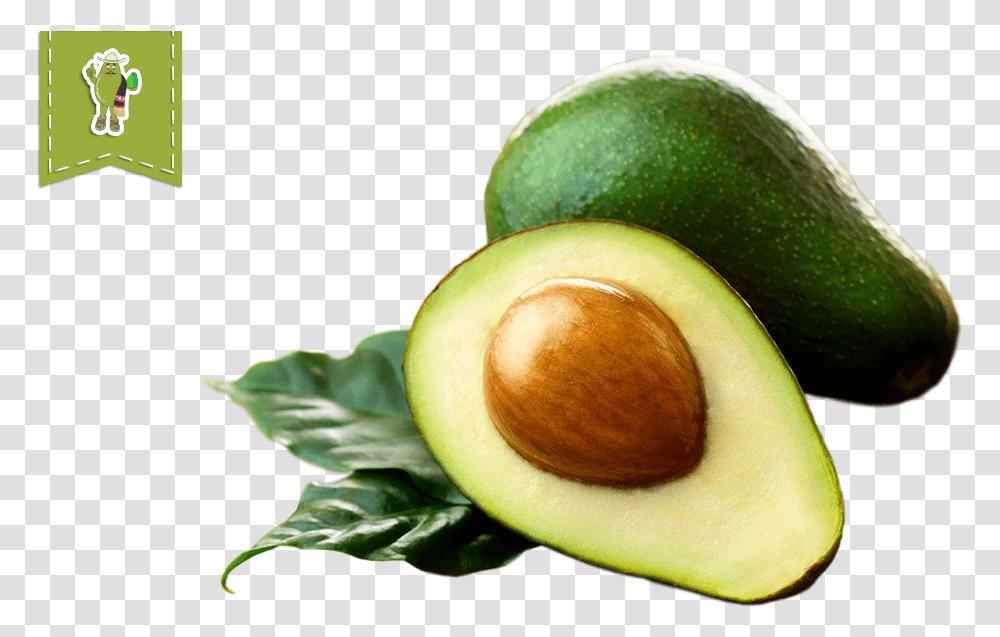 Organic Hass Avocado Frhomimexfrhomimex Aguacate, Plant, Fruit, Food Transparent Png