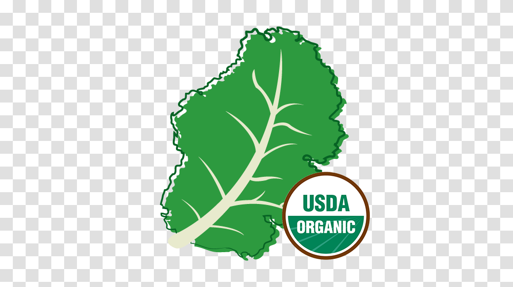 Organic Kale, Leaf, Plant, Vegetable, Food Transparent Png