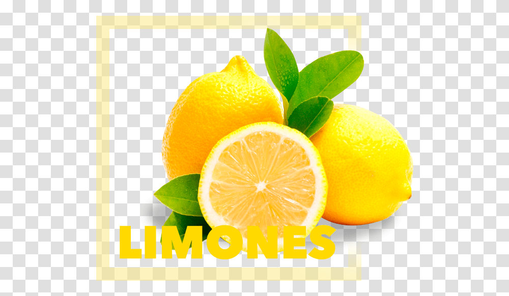 Organic Lemons, Plant, Citrus Fruit, Food, Orange Transparent Png