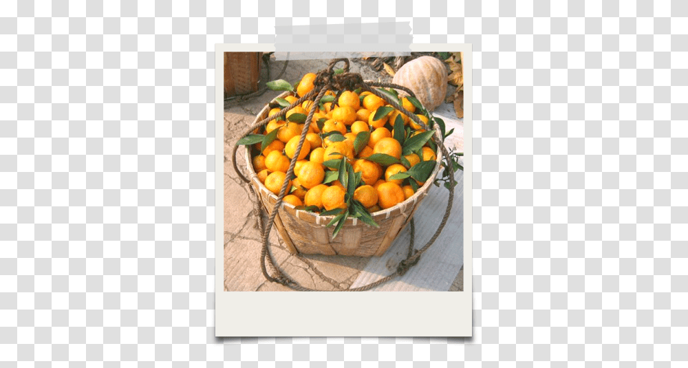 Organic Mandarin Oranges - Edward & Sons Trading Co Clementine, Plant, Produce, Food, Fruit Transparent Png