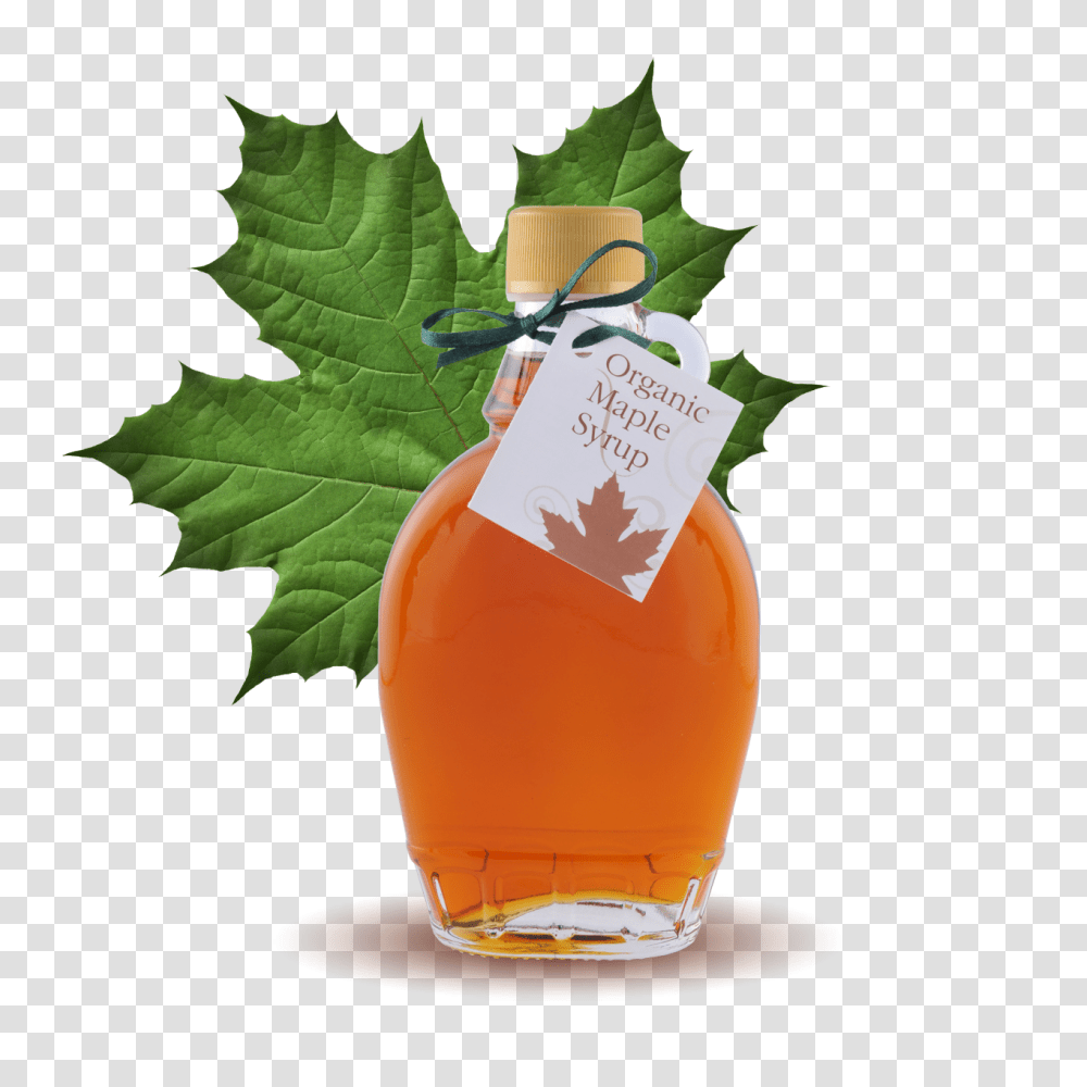 Organic Maple Syrup Classic Bottle Buy Organic, Leaf, Plant, Beverage, Drink Transparent Png
