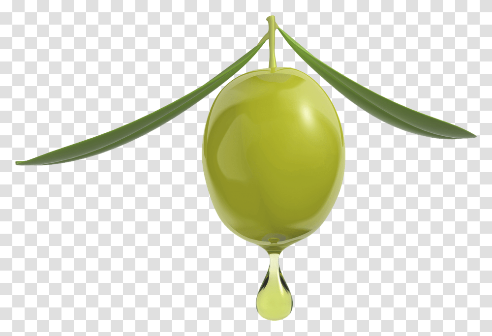 Organic Olive Squalene Oil Amp Serum Goccia Olio, Plant, Fruit, Food, Seed Transparent Png