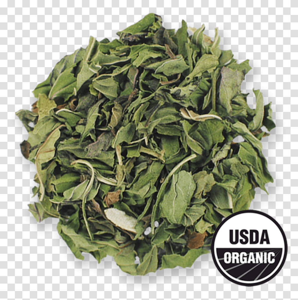Organic Peppermint From The Jasmine Pearl Tea Co Spring Greens, Plant, Vase, Jar, Pottery Transparent Png