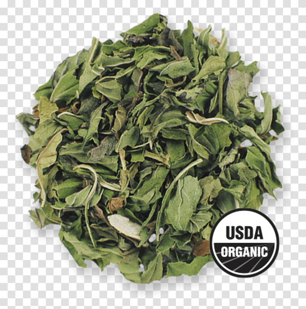 Organic Peppermint From The Jasmine Pearl Tea Co Spring Greens, Plant, Vegetable, Food, Spinach Transparent Png