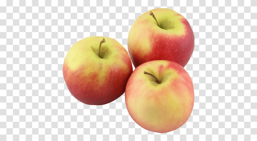 Organic Pink Lady Apples Hy Vee Aisles Online Grocery Shopping Mcintosh, Fruit, Plant, Food Transparent Png