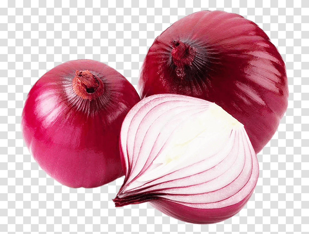 Organic Red Onion, Plant, Shallot, Vegetable, Food Transparent Png