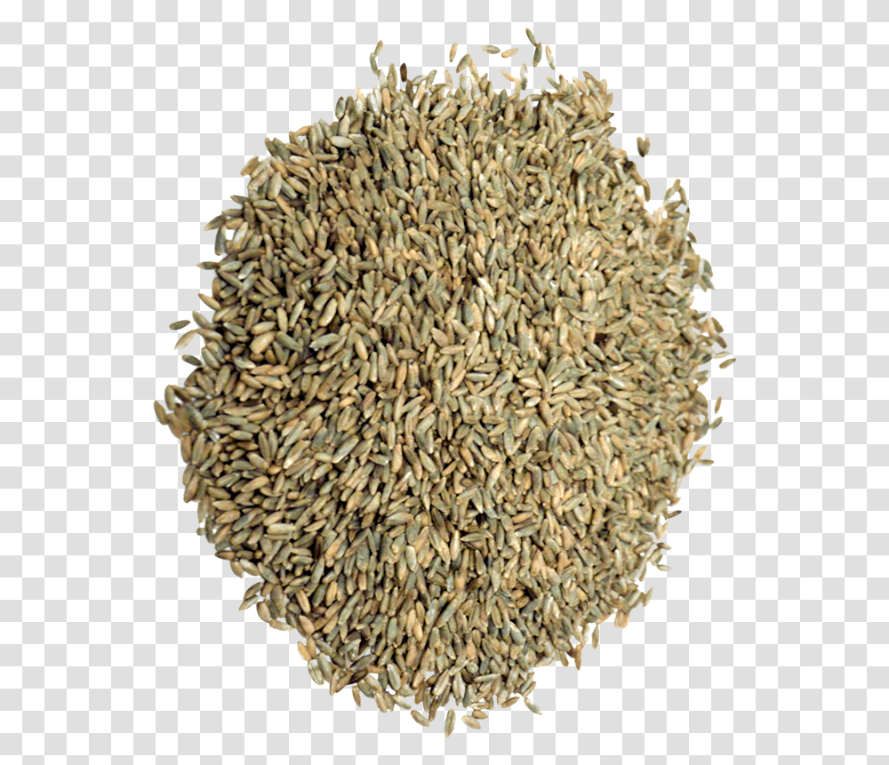 Organic Rye Grain Cumin, Plant, Produce, Vegetable, Food Transparent Png