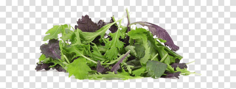 Organic Salad Mix, Plant, Produce, Food, Vegetable Transparent Png