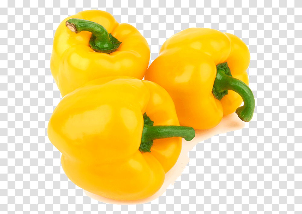 Organic Sweet Yellow Pepper Yellow Bell Pepper, Plant, Vegetable, Food, Rose Transparent Png