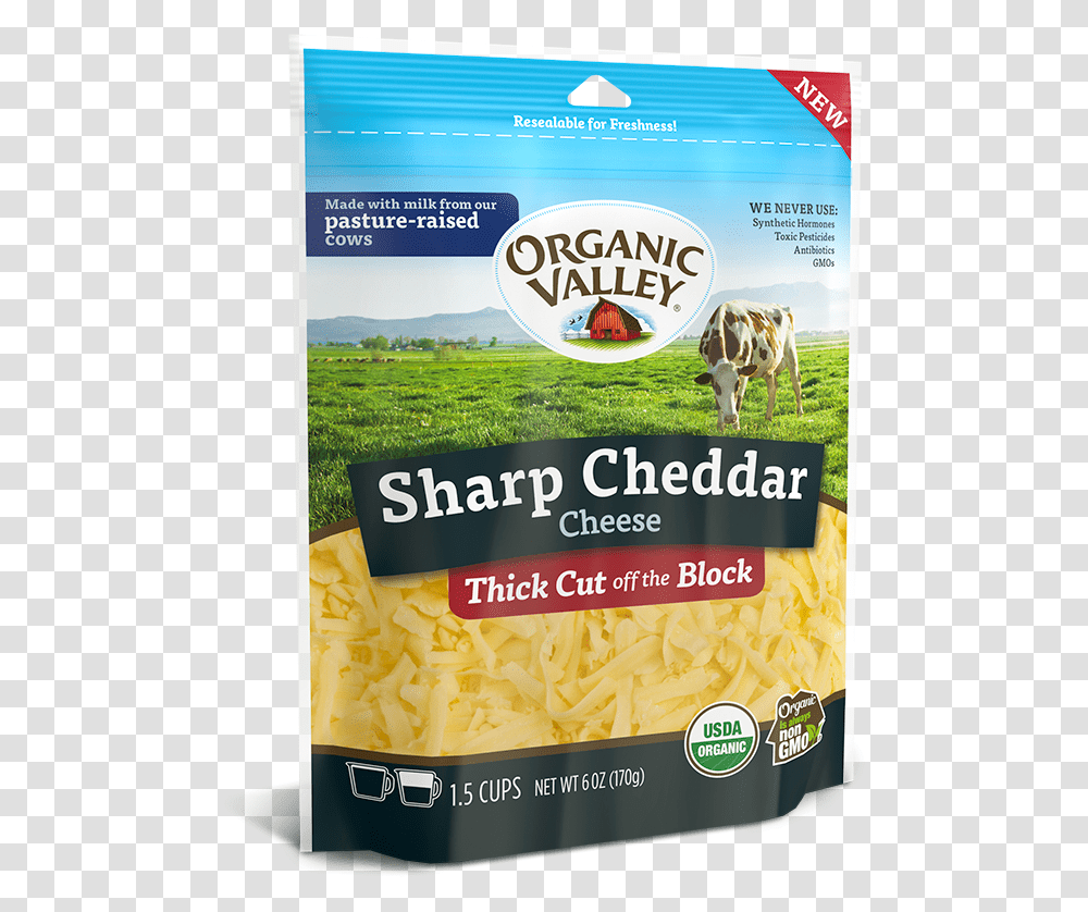 Organic Valley Sharp Cheddar Cheese, Cow, Cattle, Mammal, Animal Transparent Png