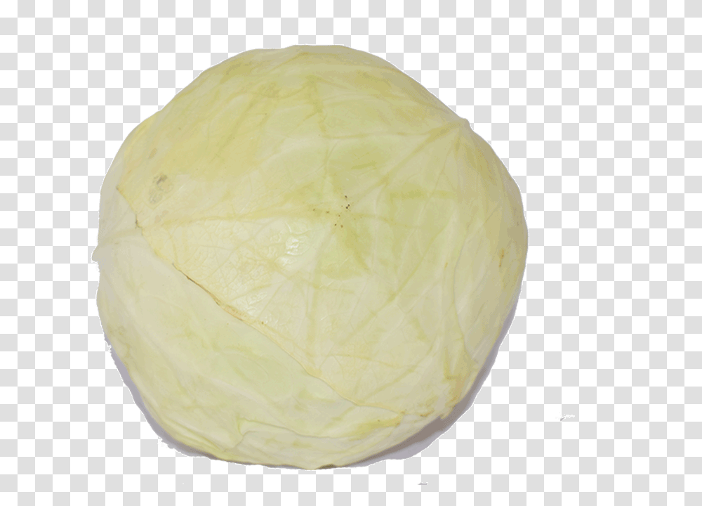 Organic White Cabbage Savoy Cabbage, Plant, Vegetable, Food, Head Cabbage Transparent Png