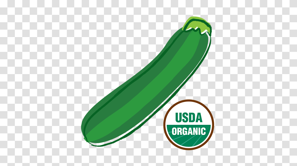 Organic Zucchini, Plant, Cucumber, Vegetable, Food Transparent Png