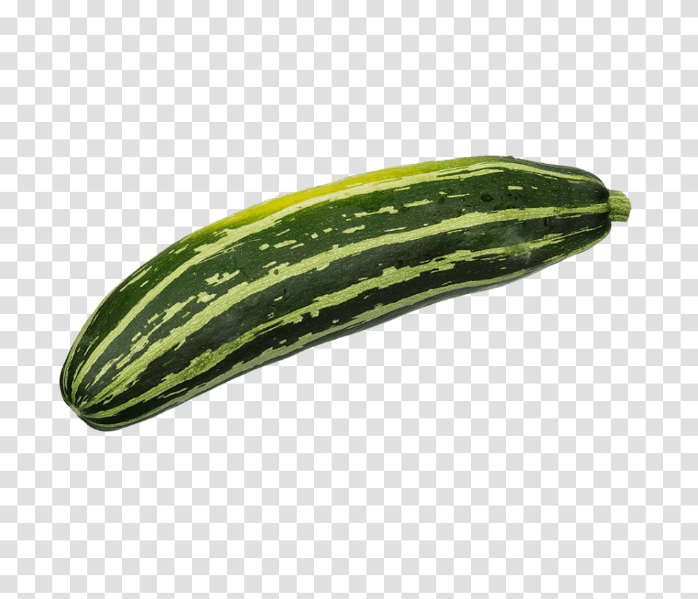 Organic Zucchini, Plant, Vegetable, Food, Cucumber Transparent Png