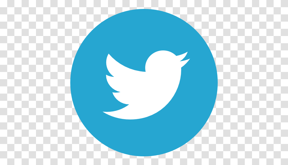 Organizational Structure - Hababi Company Twitter Logo Svg, Symbol, Trademark, Animal, Bird Transparent Png