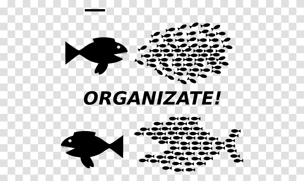 Organizing Fish, Stencil, Bird, Animal, Silhouette Transparent Png