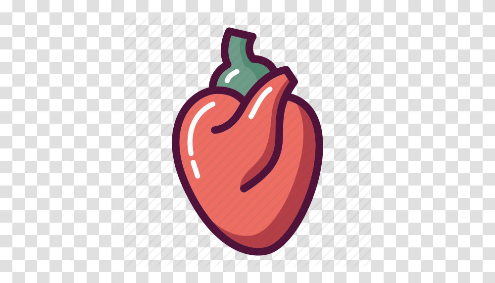 Organs Clipart Heart Muscle, Plant, Food, Vegetable, Pepper Transparent Png