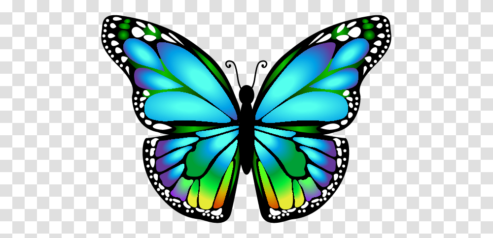 Orig Butterflies Bugs, Pattern, Ornament Transparent Png