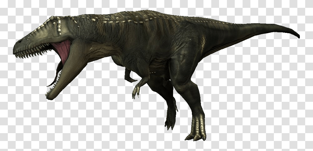 Orig Carcharodontosaurus, T-Rex, Dinosaur, Reptile, Animal Transparent Png
