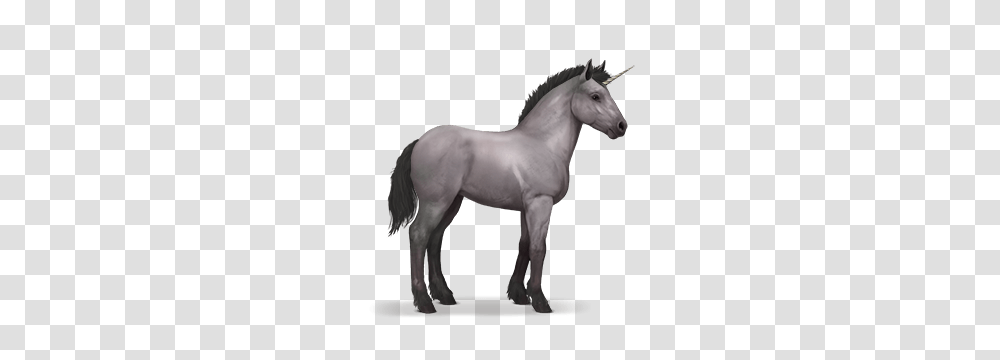 Orig, Fantasy, Andalusian Horse, Mammal, Animal Transparent Png