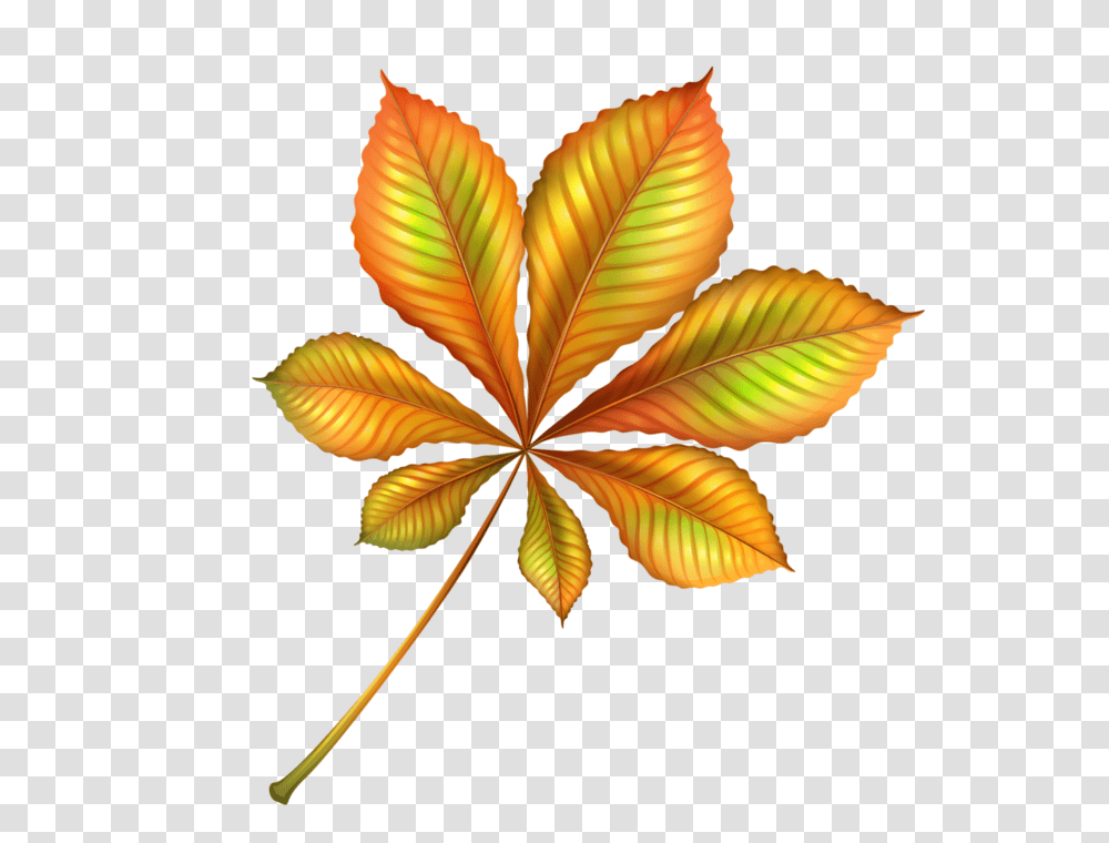 Orig, Leaf, Plant, Pattern, Floral Design Transparent Png